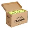 Tennis-Point Training Scatola Da 72 Senza Pressione 1 Tennis-Point Training Scatola Da 72 Senza Pressione -Vendite Babolat 0121500000 000