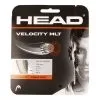 Head Velocity MLT Set Di Corde 12m - Colori Naturali 2 Head Velocity MLT Set Di Corde 12m - Colori Naturali -Vendite Babolat 02269000 000